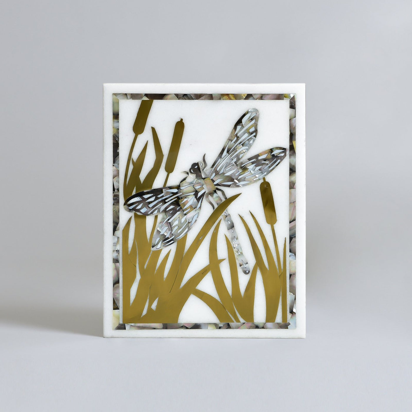 Dragonfly’s Memory