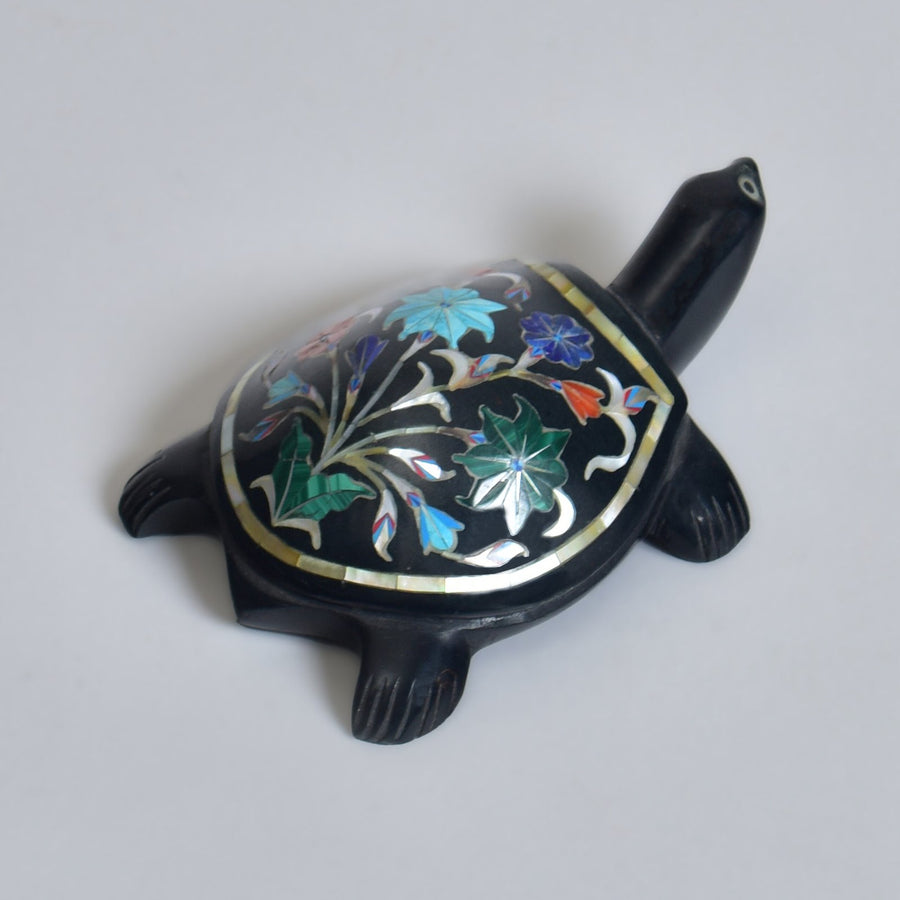 Ocean’s Coral