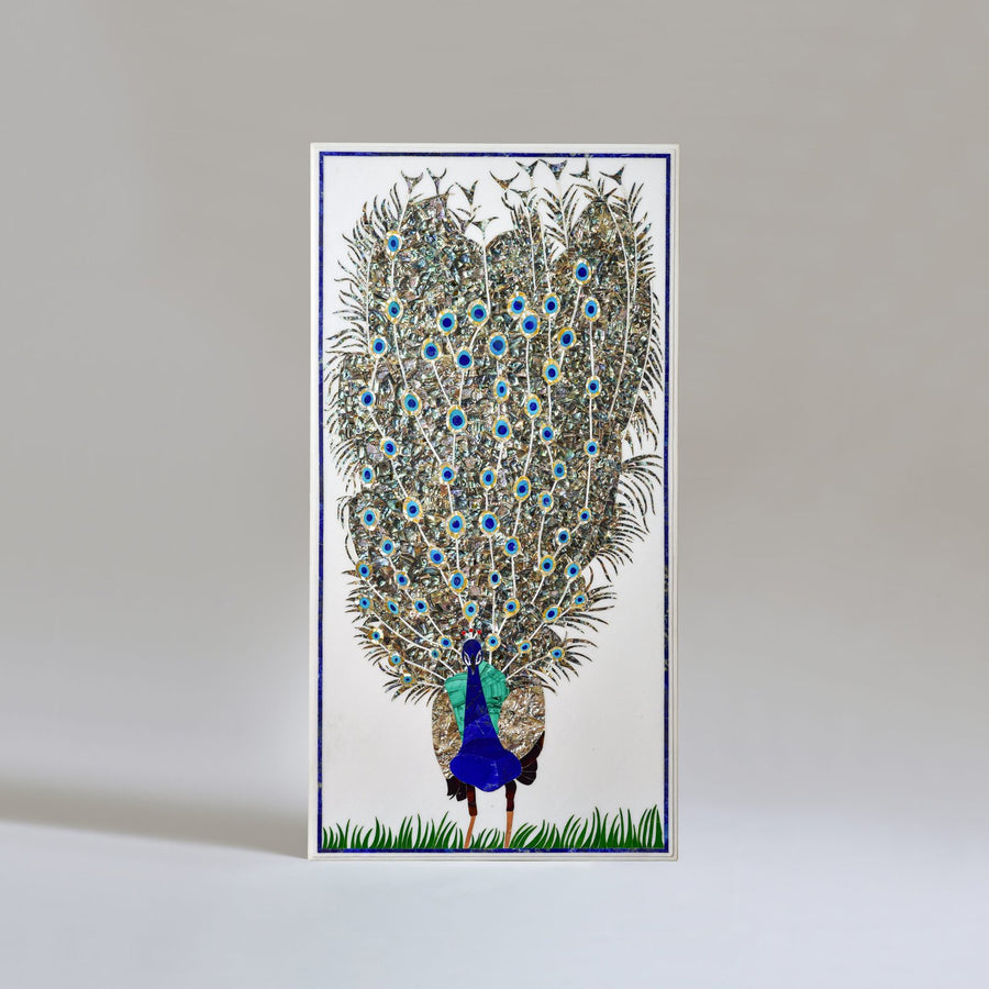 Peacock’s Gaze