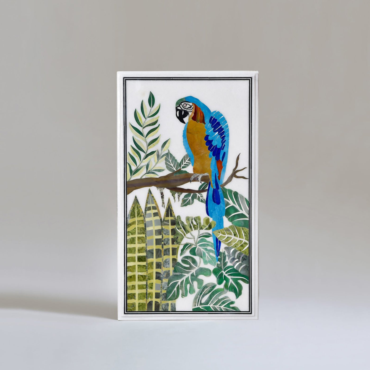Parrots Jungle